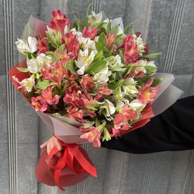 Альстромерии микс