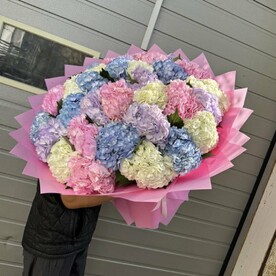 Гортензия микс