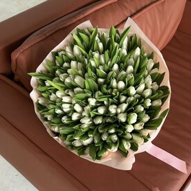 101 белые тюльпаны