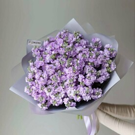 Букет из маттиола