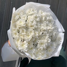 Хризантема белая Балтика