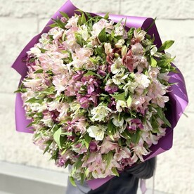 Альстромерия 51 шт