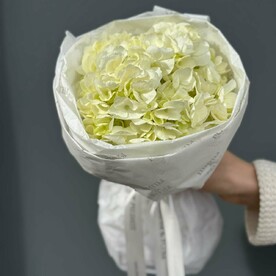 Монобукет из одной гортензии