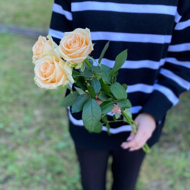 3 кремовые розы пинч, артикул F1236783 - 1350 рублей, доставка по городу. Flawery - доставка цветов