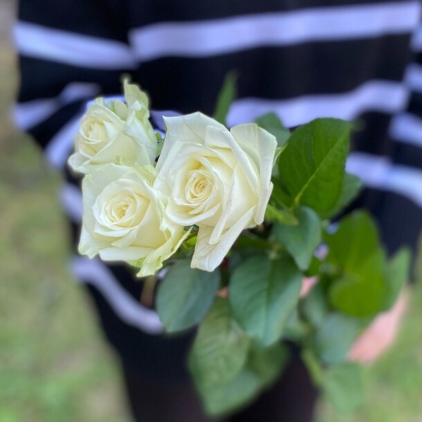 3 розы аваланж, артикул F1236789 - 1350 рублей, доставка по городу. Flawery - доставка цветов