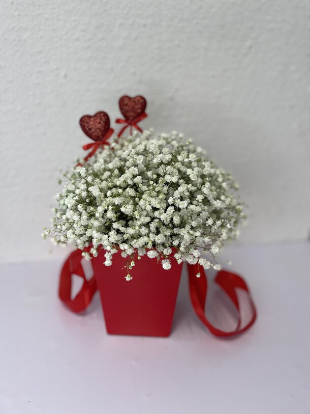 Гипсофила в сумке, артикул F1259739 - 2000 рублей, доставка по городу. Flawery - доставка цветов