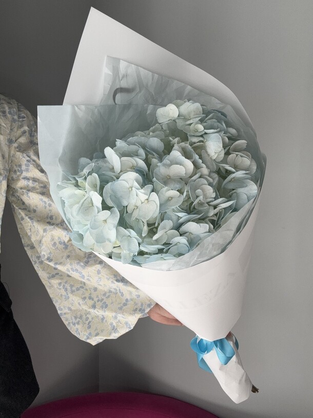 Гортензия, артикул F1330783 - 1804 рублей, доставка по городу. Flawery - доставка цветов