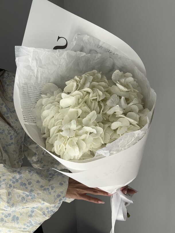 Гортензия, артикул F1330784 - 1650 рублей, доставка по городу. Flawery - доставка цветов