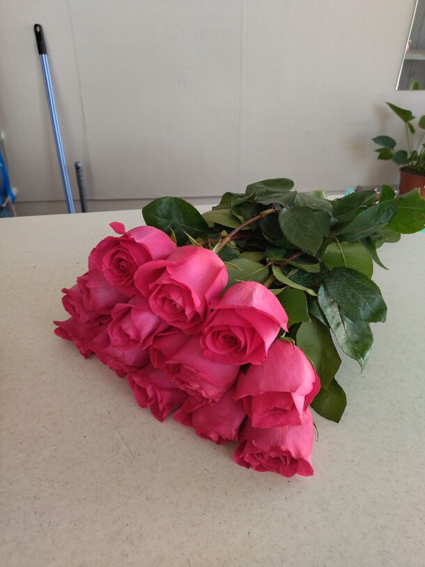 15 ароматных роз, артикул F1072799 - 8500 рублей, доставка по городу. Flawery - доставка цветов