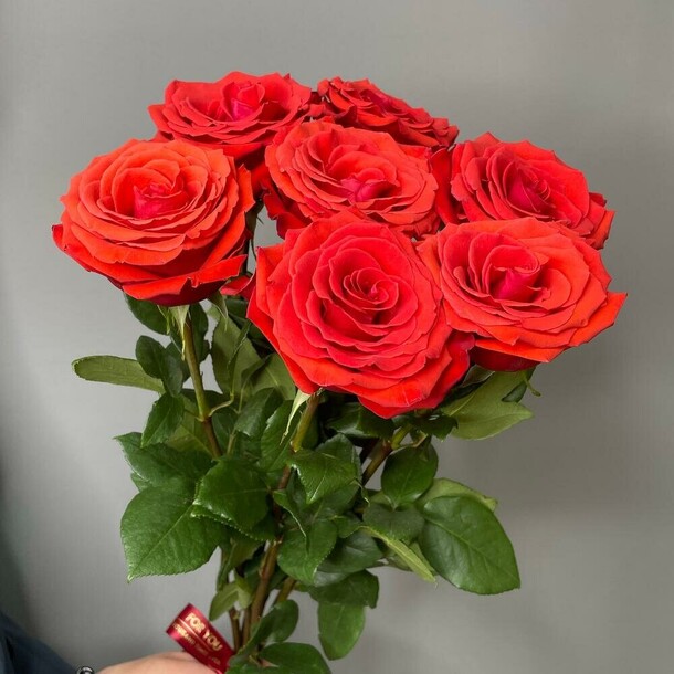Алые розы нина, артикул F1195175 - 3150 рублей, доставка по городу. Flawery - доставка цветов