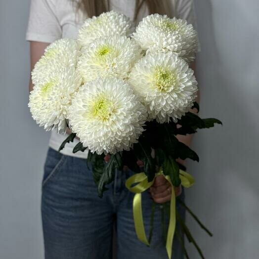 Wow🔥букет из белых одноголовых хризантем, артикул F1199500 - 4650 рублей, доставка по городу. Flawery - доставка цветов