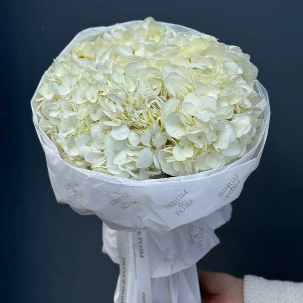 Монобукет из 3 белых гортензий, артикул F1490972 - 3500 рублей, доставка по городу. Flawery - доставка цветов