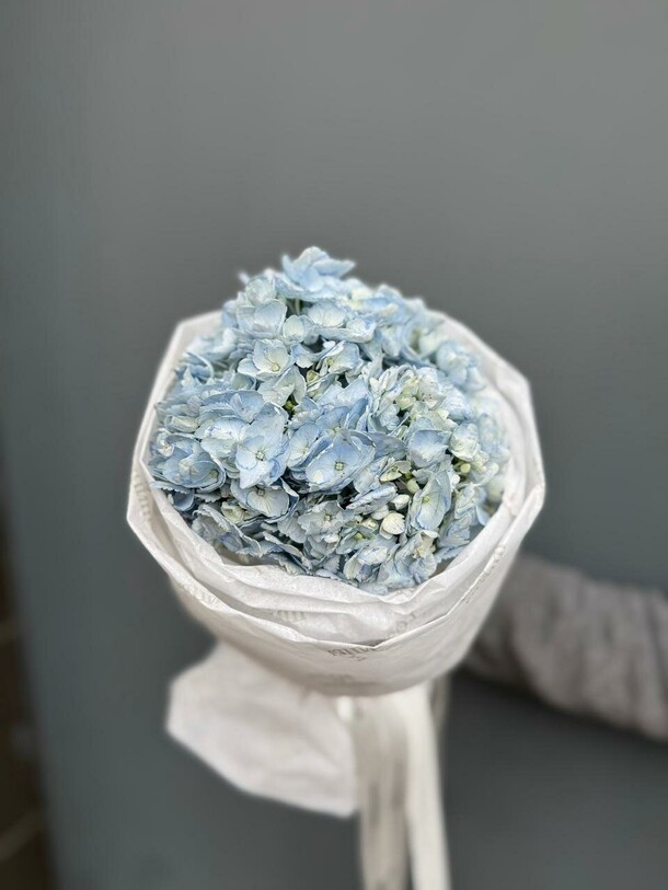 Монобукет из одной голубой гортензии, артикул F1490992 - 1500 рублей, доставка по городу. Flawery - доставка цветов