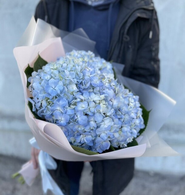 Букет гортензия голубая, артикул F1274128 - 4399 рублей, доставка по городу. Flawery - доставка цветов