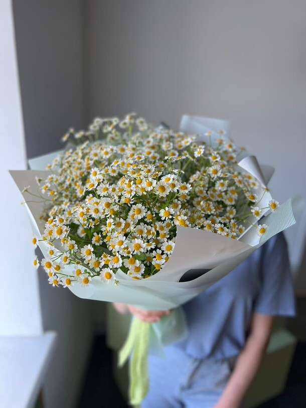 Букет из ромашек 15 штук, артикул F1125740 - 5700 рублей, доставка по городу. Flawery - доставка цветов