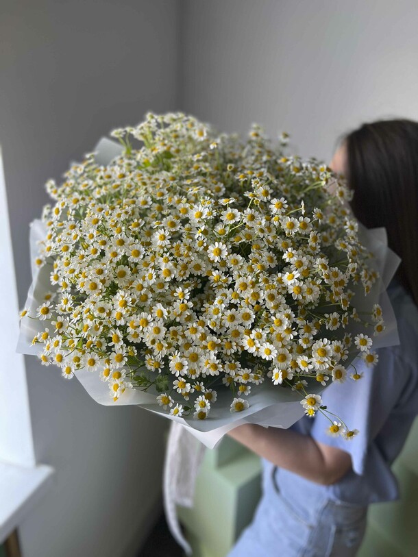 Букет из ромашек 25 штук, артикул F1270791 - 8800 рублей, доставка по городу. Flawery - доставка цветов