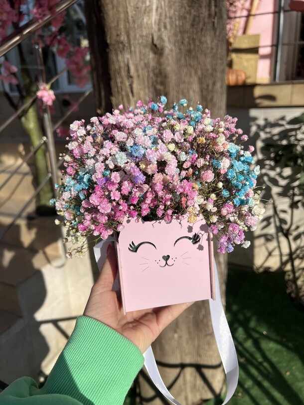 Кошечка с гипсофилой, артикул F1265420 - 2850 рублей, доставка по городу. Flawery - доставка цветов