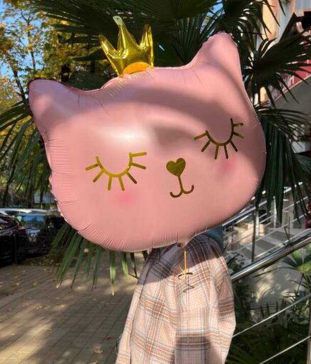 Кошечка принцесса, артикул F1328010 - 890 рублей, доставка по городу. Flawery - доставка цветов