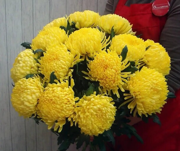 Сара, артикул F1084890 - 15589 рублей, доставка по городу. Flawery - доставка цветов