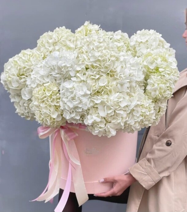 Снежок, артикул F1085723 - 20550 рублей, доставка по городу. Flawery - доставка цветов