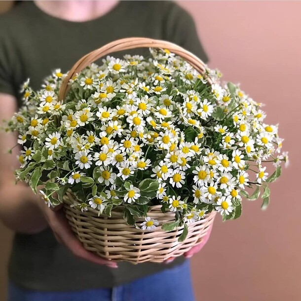 Полюшко, артикул F1086573 - 9921 рублей, доставка по городу. Flawery - доставка цветов