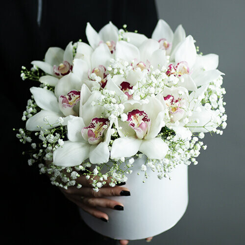 Орхидея, артикул F1424853 - 8756 рублей, доставка по городу. Flawery - доставка цветов