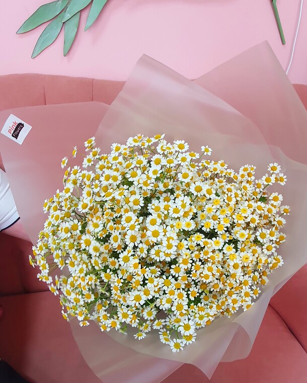 Букет ромашек, артикул F1203591 - 3450 рублей, доставка по городу. Flawery - доставка цветов
