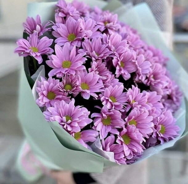 Букет из 5 фиолетовых хризантем на 1 сентября, день рождения, праздник, артикул F1208872 - 3300 рублей, доставка по городу. Flawery - доставка цветов