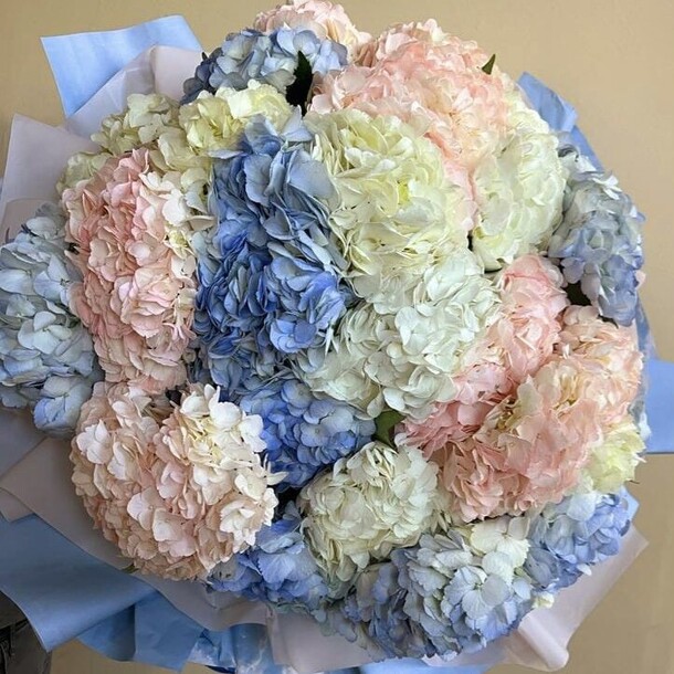 Букет из 33 разноцветных гортензий, артикул F1228852 - 21401 рублей, доставка по городу. Flawery - доставка цветов