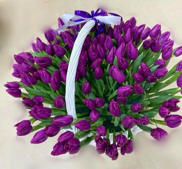 151 тюльпан в корзине, артикул F1246016 - 42800 рублей, доставка по городу. Flawery - доставка цветов