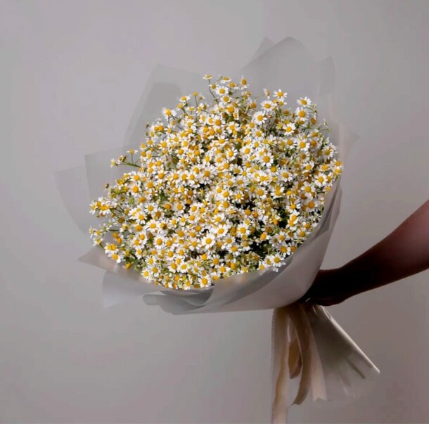 Букет ромашек, артикул F1271764 - 4400 рублей, доставка по городу. Flawery - доставка цветов