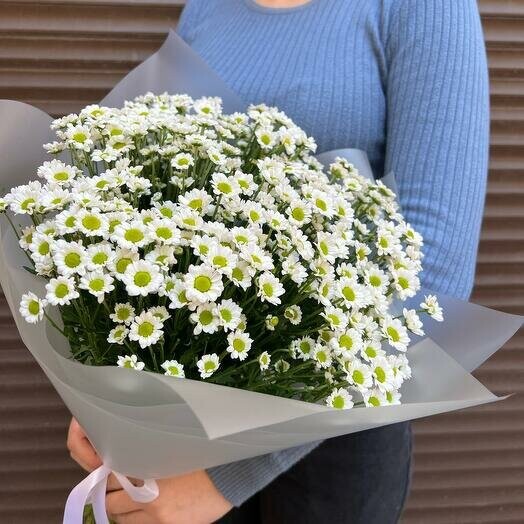 Букет ромашки сантини 11 (моно 076), артикул F1190664 - 4250 рублей, доставка по городу. Flawery - доставка цветов