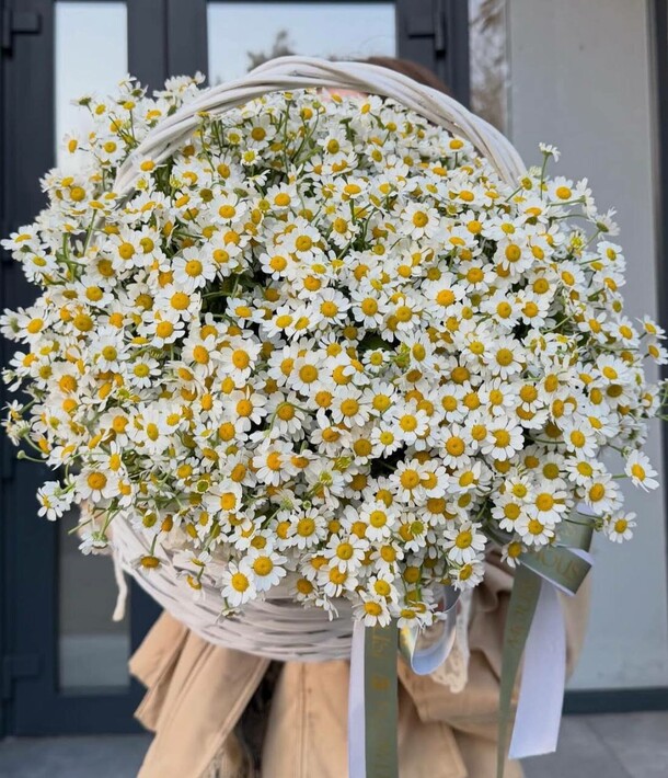 Корзинка полевых ромашек, артикул F1490612 - 15360 рублей, доставка по городу. Flawery - доставка цветов