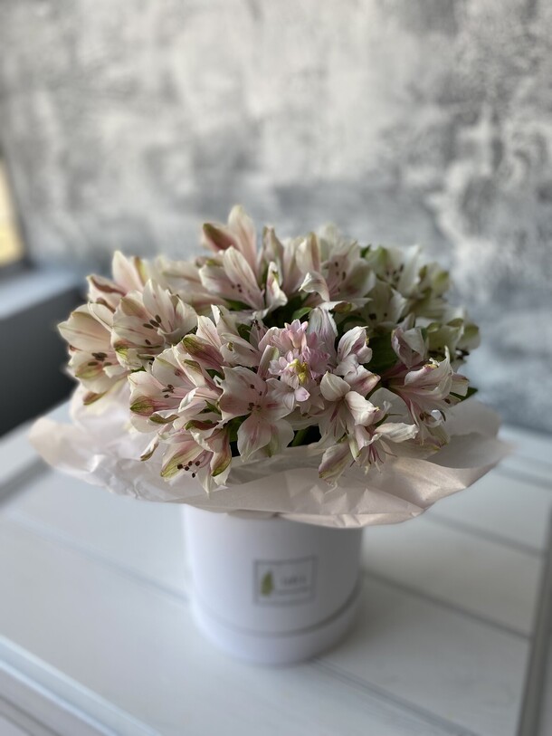 Коробочка с альстромерией, артикул F1103942 - 3800 рублей, доставка по городу. Flawery - доставка цветов