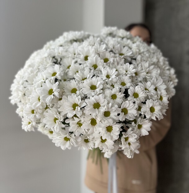 Большой букет из ромашек, артикул F1277755 - 12000 рублей, доставка по городу. Flawery - доставка цветов