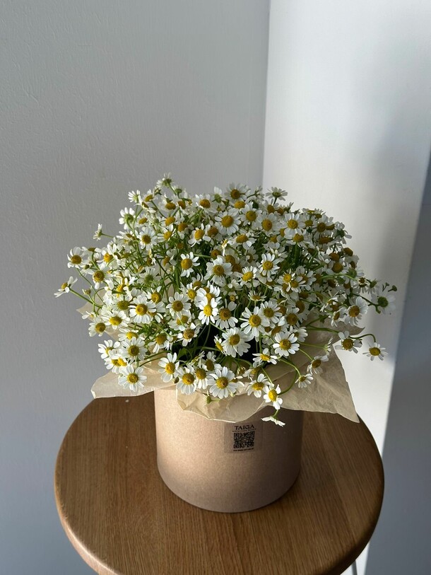 Коробка с полевыми ромашками, артикул F1287320 - 6150 рублей, доставка по городу. Flawery - доставка цветов