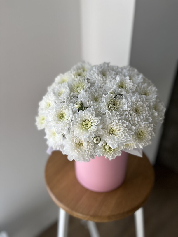 Коробочка с хризантемой, артикул F1323209 - 3900 рублей, доставка по городу. Flawery - доставка цветов