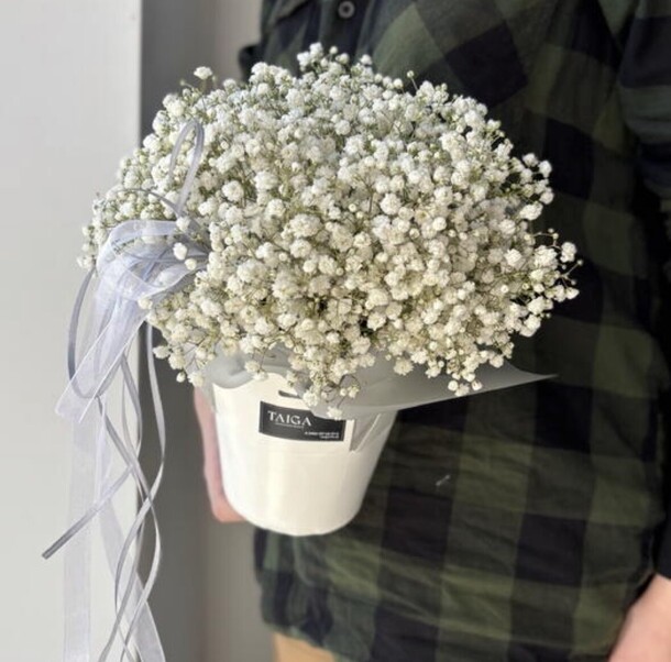 Коробочка белой гипсофилы, артикул F1490458 - 2000 рублей, доставка по городу. Flawery - доставка цветов