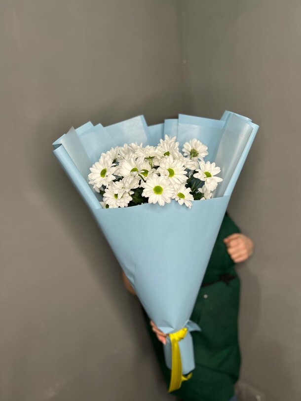 Хризантема кустовая ромашка, артикул F1381739 - 3200 рублей, доставка по городу. Flawery - доставка цветов