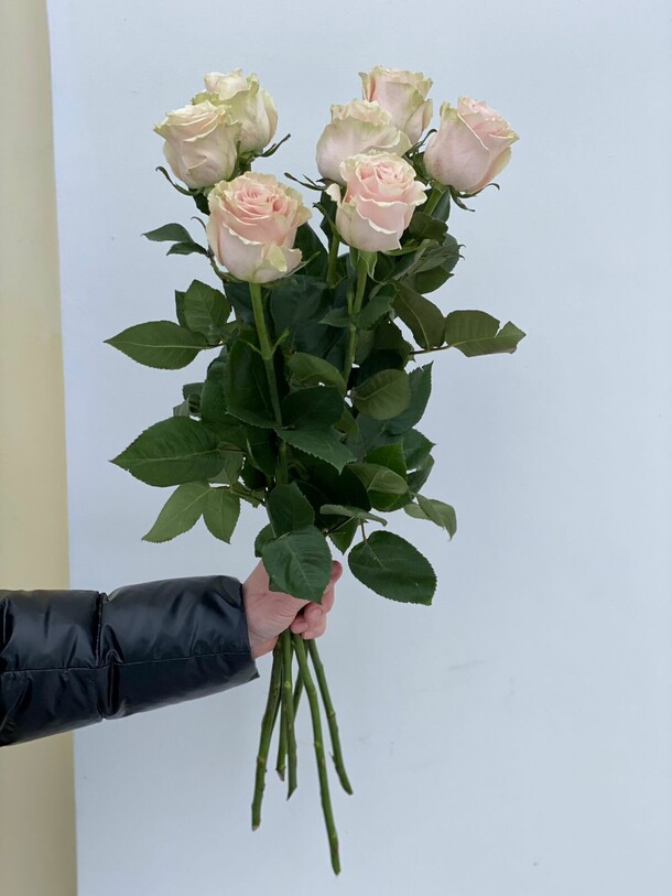 Розы, артикул F1095153 - 3200 рублей, доставка по городу. Flawery - доставка цветов