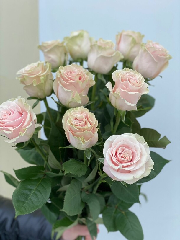 Розы, артикул F1095157 - 5300 рублей, доставка по городу. Flawery - доставка цветов