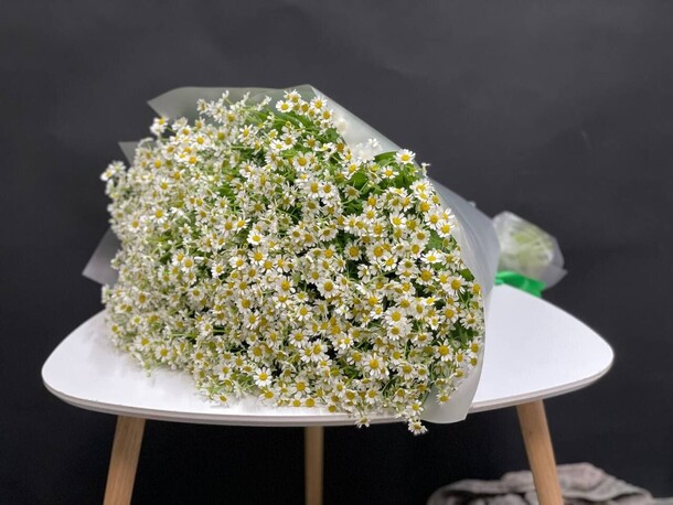 Букет из 51 ромашек пронзительный взгляд, артикул F15428 - 11500 рублей, доставка по городу. Flawery - доставка цветов