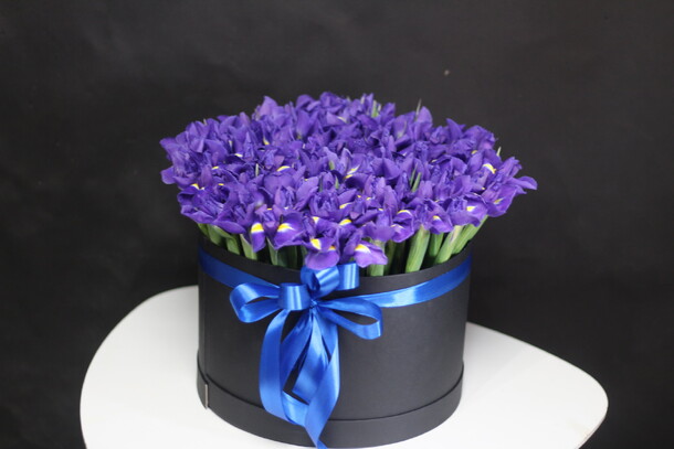 101 ирисы в коробке 💙💙💙, артикул F19669 - 19500 рублей, доставка по городу. Flawery - доставка цветов