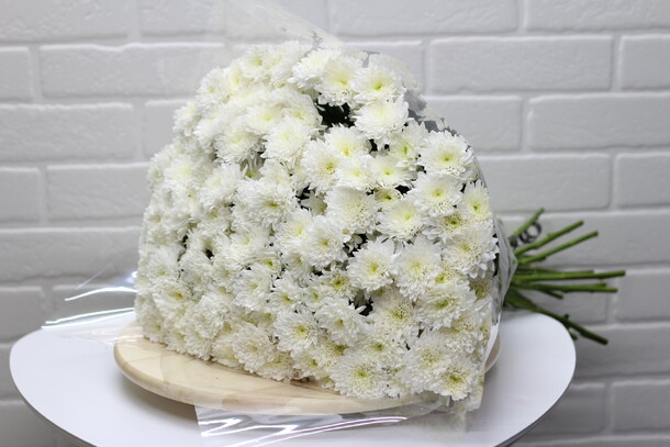 Букет из 15 кустовых хризантем в ленте, артикул F21701 - 6100 рублей, доставка по городу. Flawery - доставка цветов