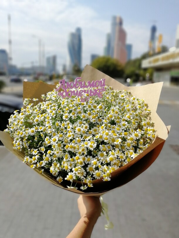 Букет из 25 ромашек для вас, артикул F22528 - 6300 рублей, доставка по городу. Flawery - доставка цветов