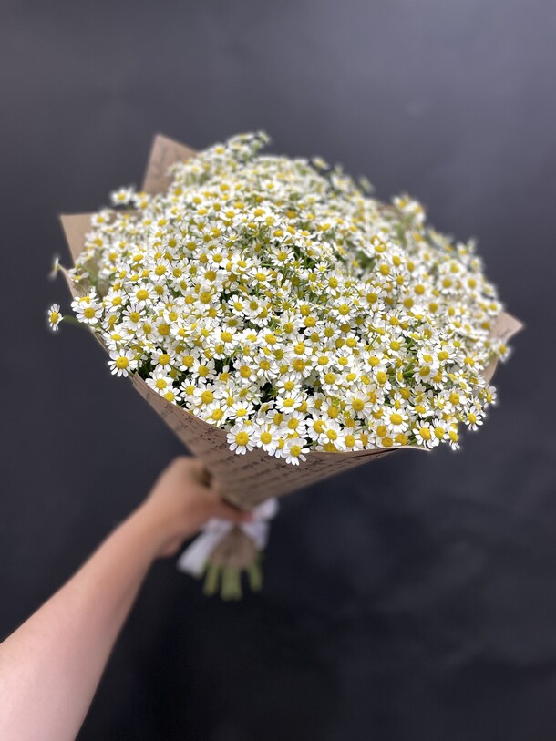 Букет из 25 ромашек, артикул F1125886 - 6700 рублей, доставка по городу. Flawery - доставка цветов