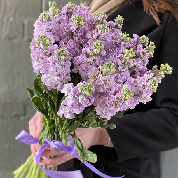 Букет из 19 маттиолы, артикул F1159897 - 7300 рублей, доставка по городу. Flawery - доставка цветов