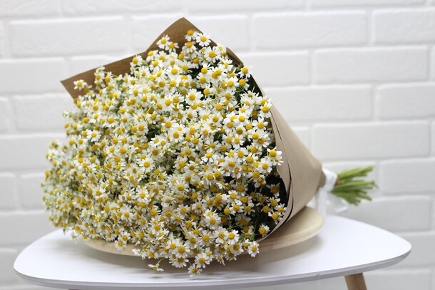 Цветочная поляна из 25 ромашки "танацетум", артикул F21915 - 6400 рублей, доставка по городу. Flawery - доставка цветов