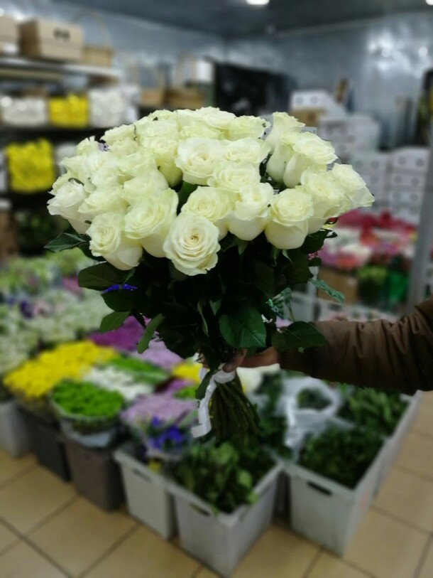 25 розы из эквадора, артикул F23414 - 13500 рублей, доставка по городу. Flawery - доставка цветов