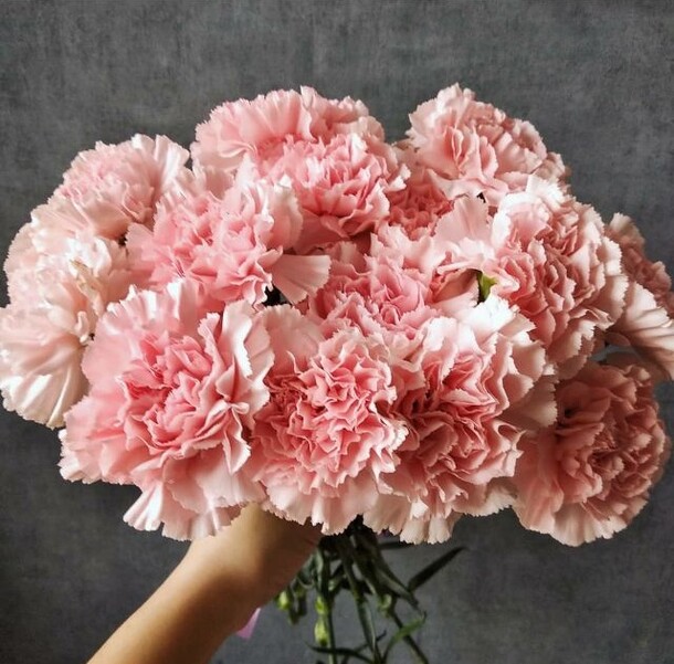 Букет из 25 гвоздик, артикул F27691 - 5500 рублей, доставка по городу. Flawery - доставка цветов